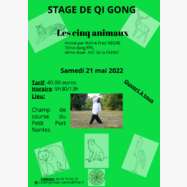 Stage de Qi Gong des 5 animaux