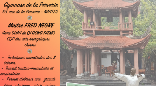 Stage de Qi gong Bat doat cam